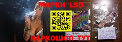стаф Кимры