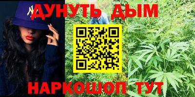 стаф Кимры