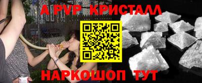 стаф Кимры