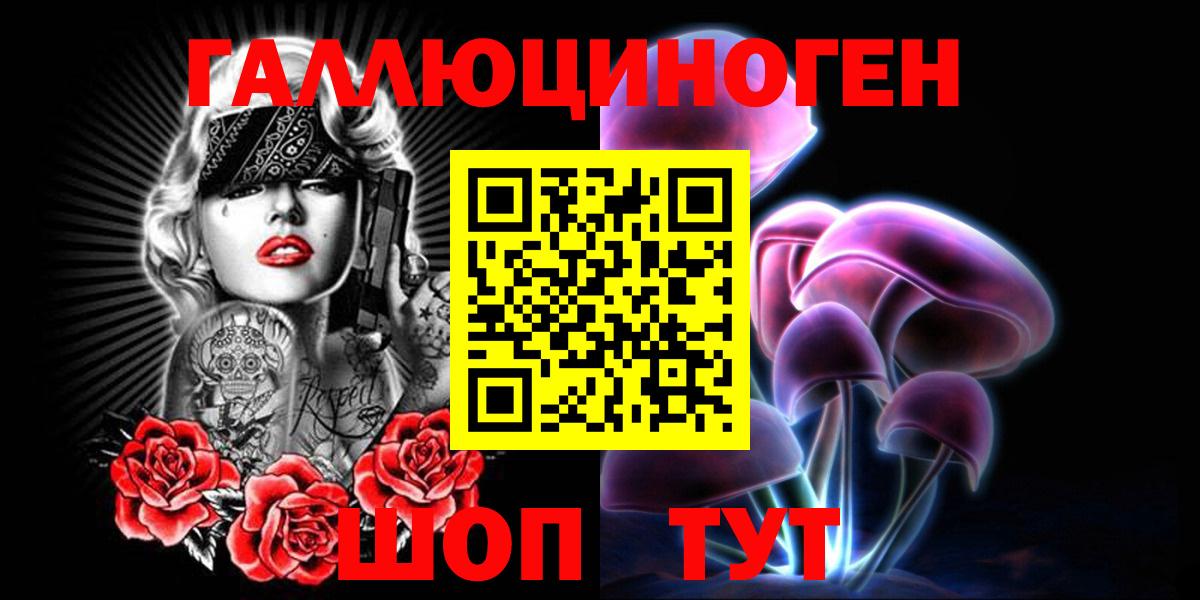 Псилоцибиновые грибы Cubensis Красногорск